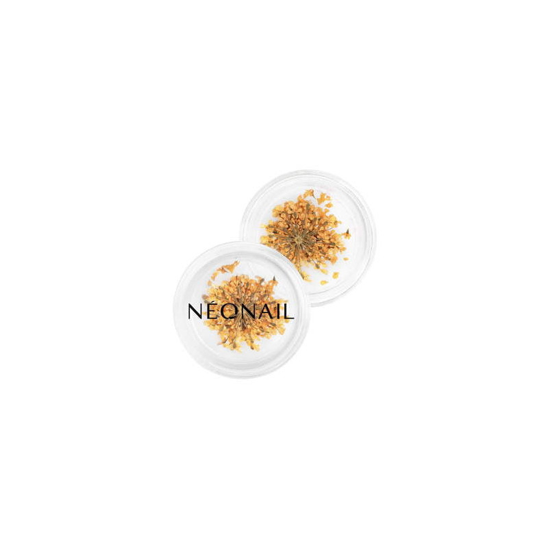 Decorazione Floreale per Unghie 03 Arancione